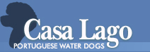 Casa Lago Portuguese Water Dogs
